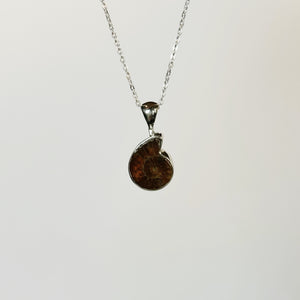 Ammonite fossil necklace