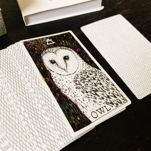 Detail image of the owl card