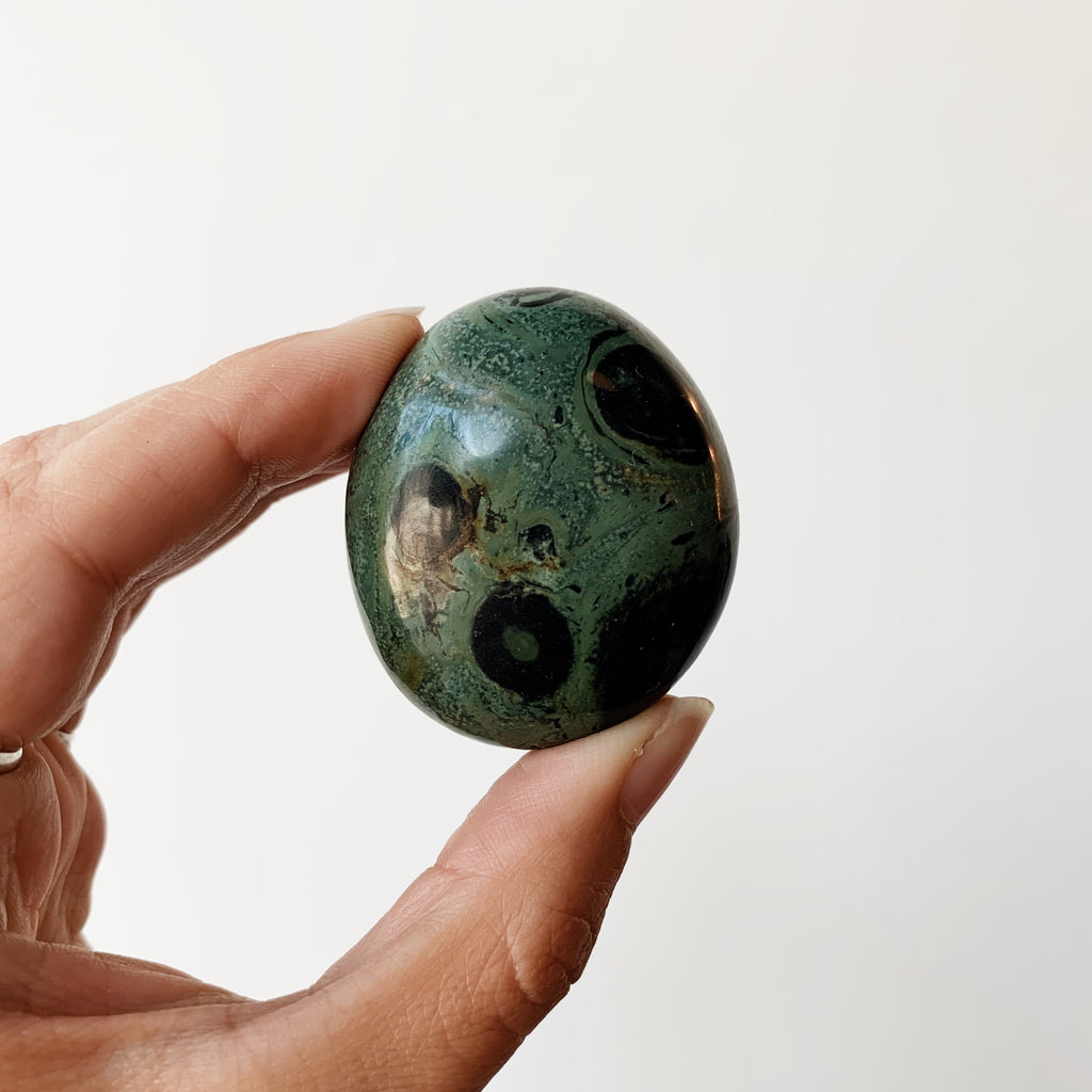 Kambaba Jasper Palm Stone - Crystal Shop – Almanac Supply Co