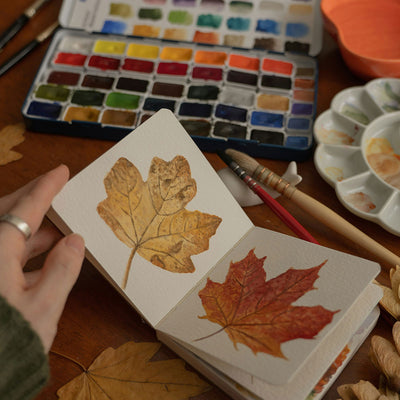 Autumn in Appalachia Nature Journaling Workshop
