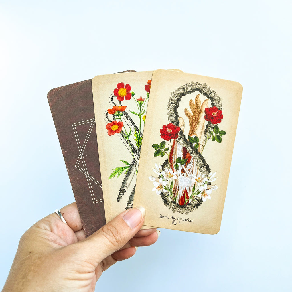 Antique Anatomy Tarot Kit