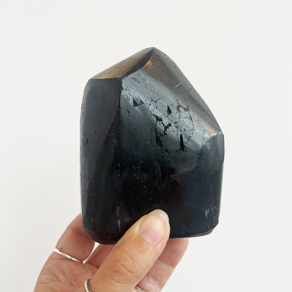 Black Tourmaline Faceted Freeform