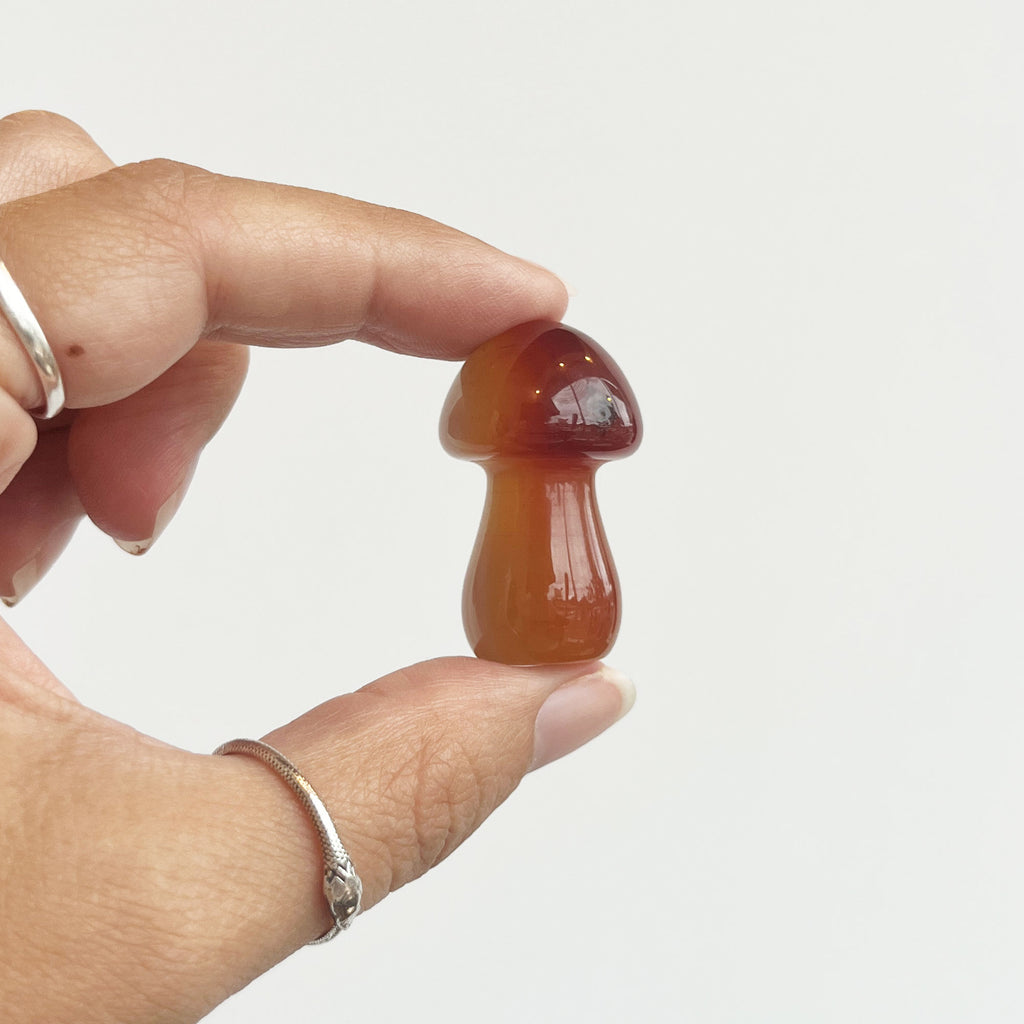 Carnelian Mushroom