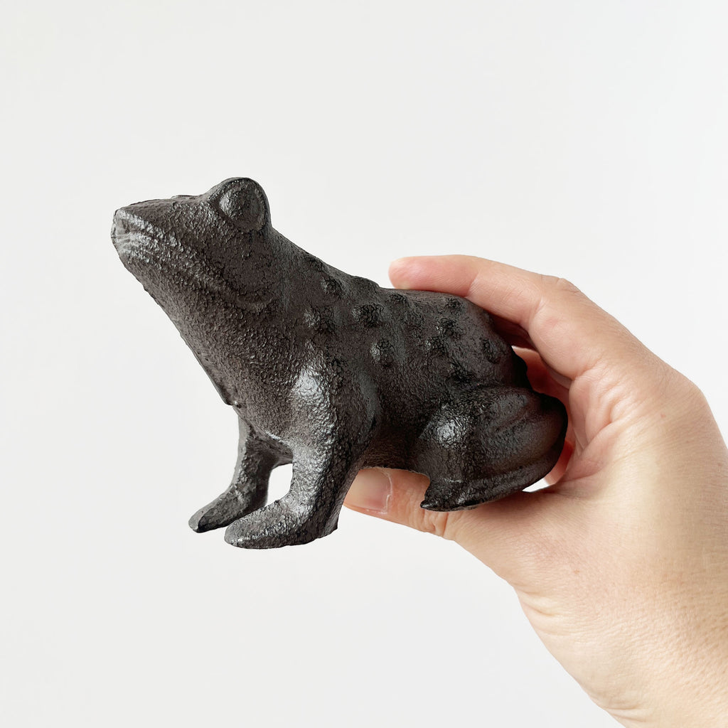 Frog in Cast Iron