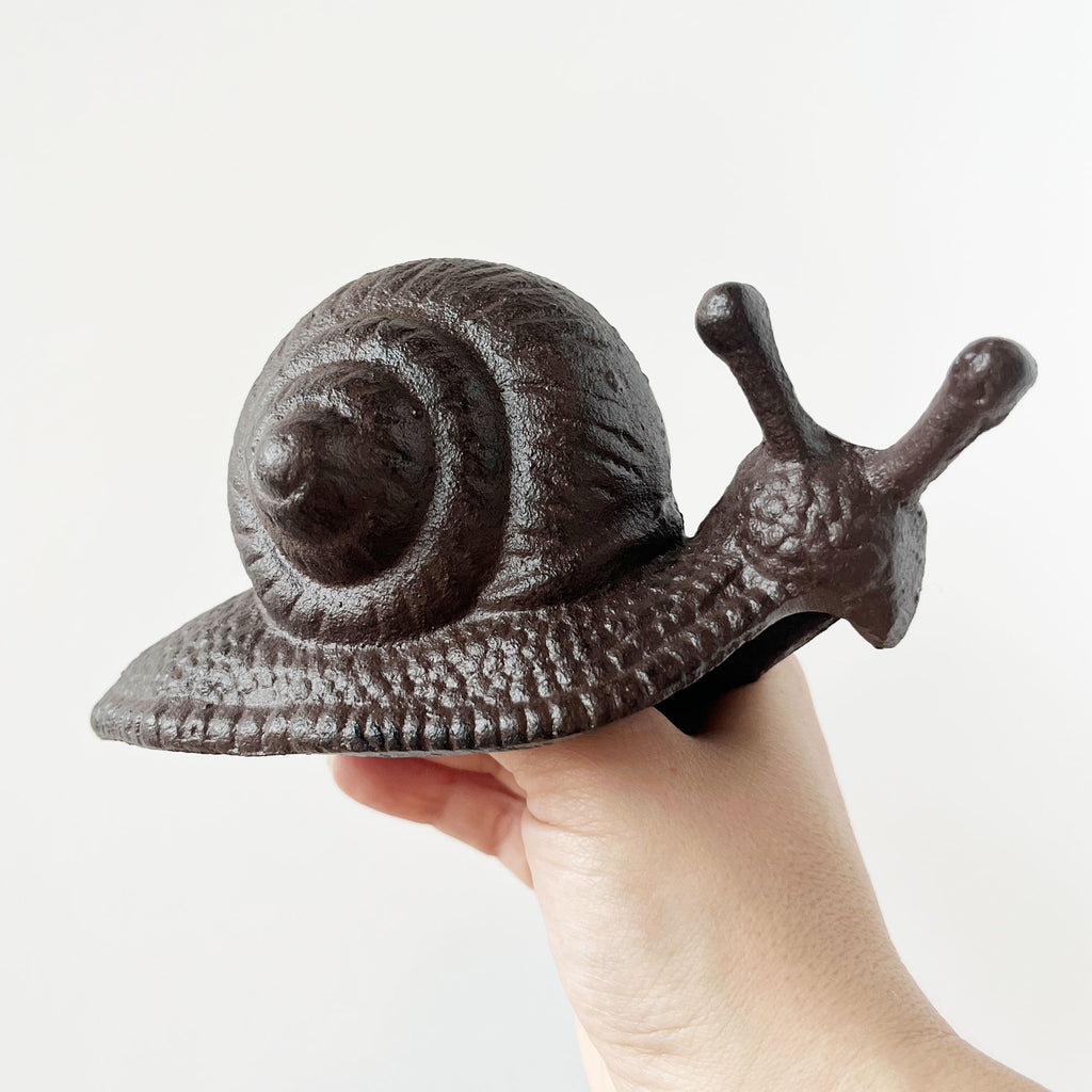 Snail in Cast Iron