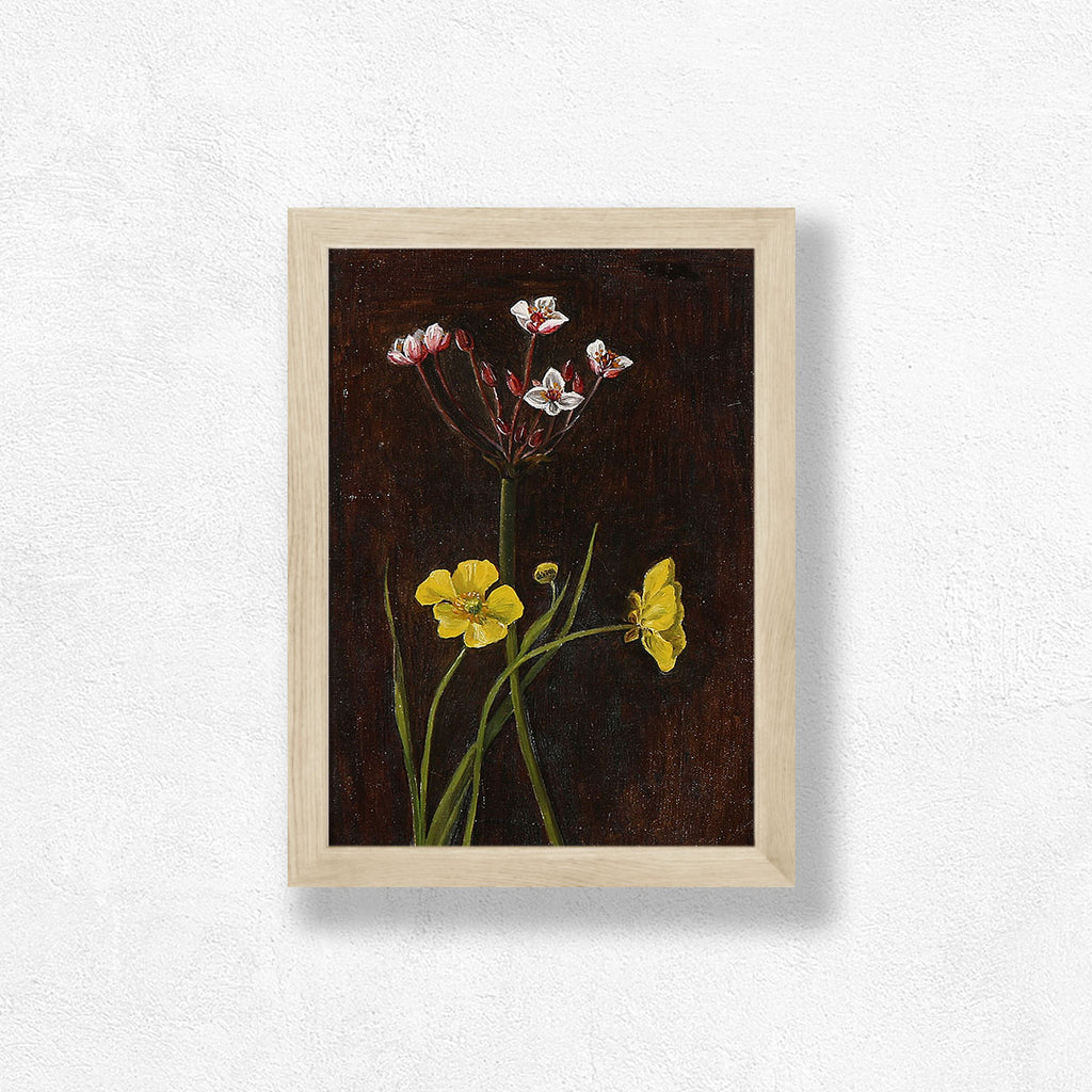 Buttercups Art Print - Dark Fairy Collection