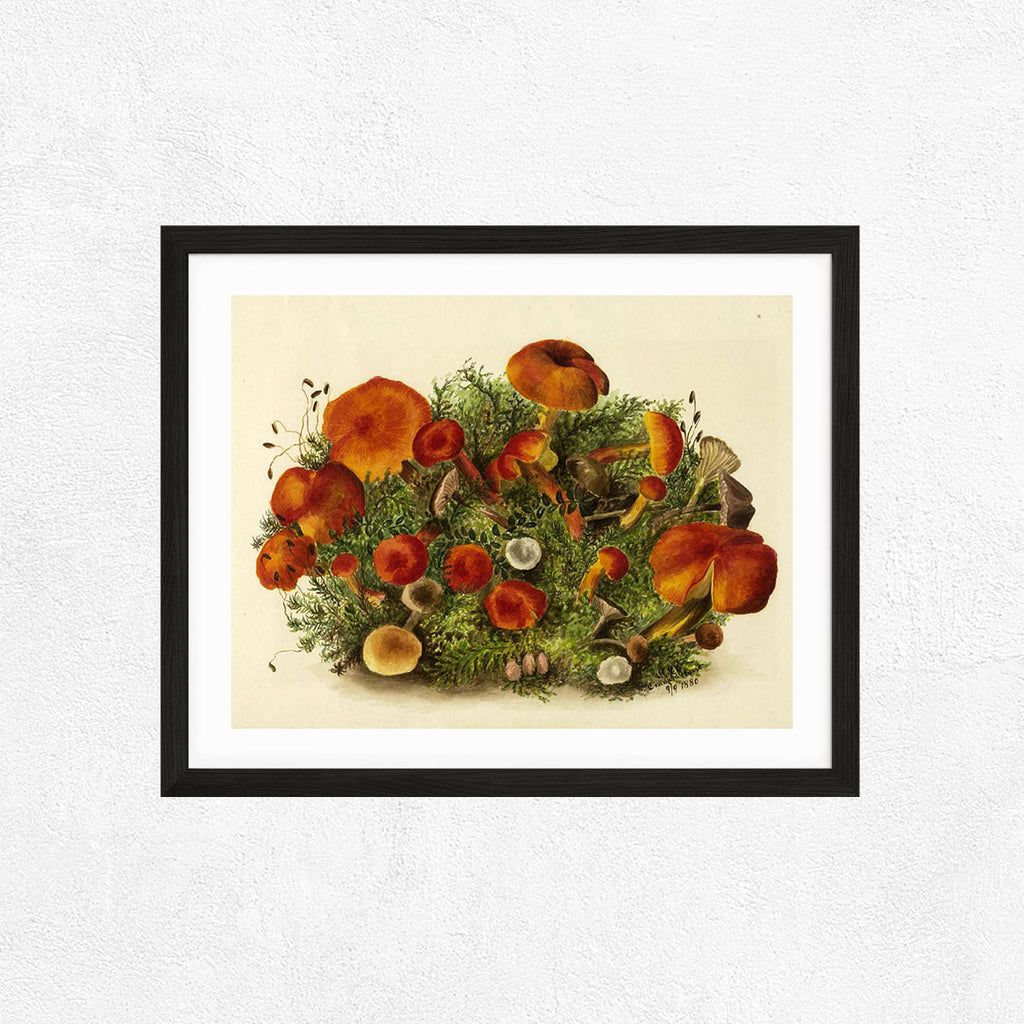 Mushrooms Art Print - Dark Fairy Collection