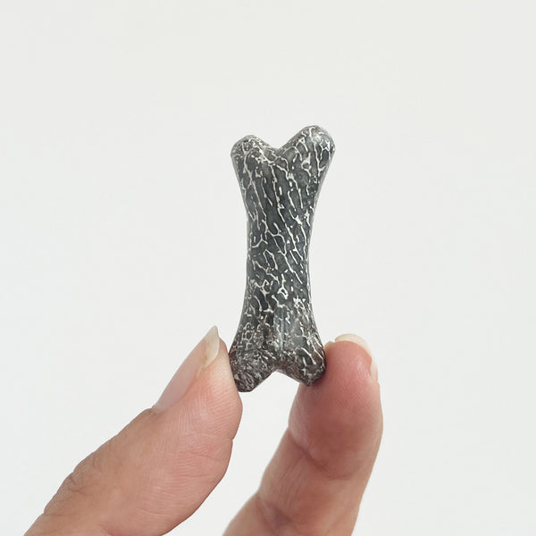 Dinosaur Bone