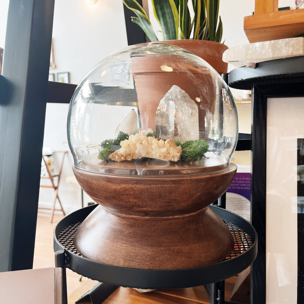 Globe Terrarium - Crystal Displays & Decor – Almanac Supply Co.