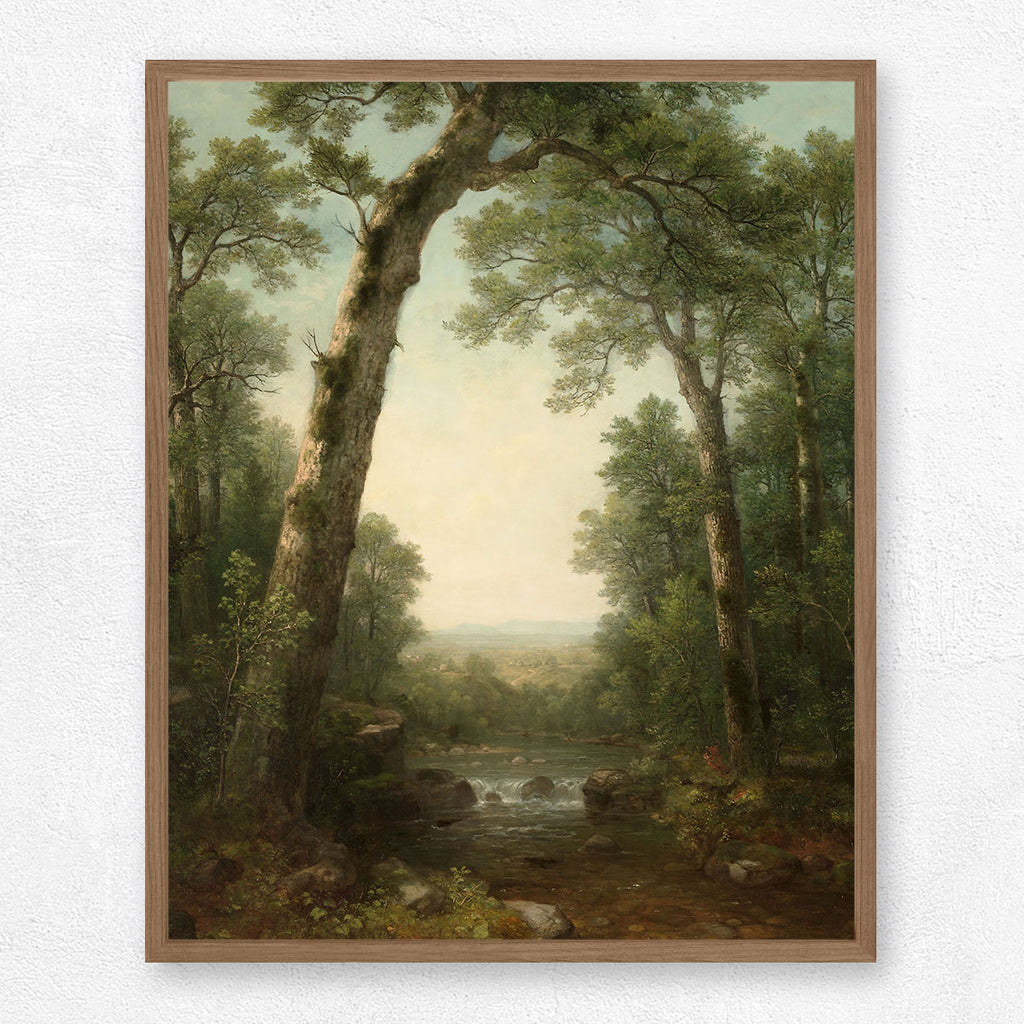 Vista Art Print - Magic Forest Collection