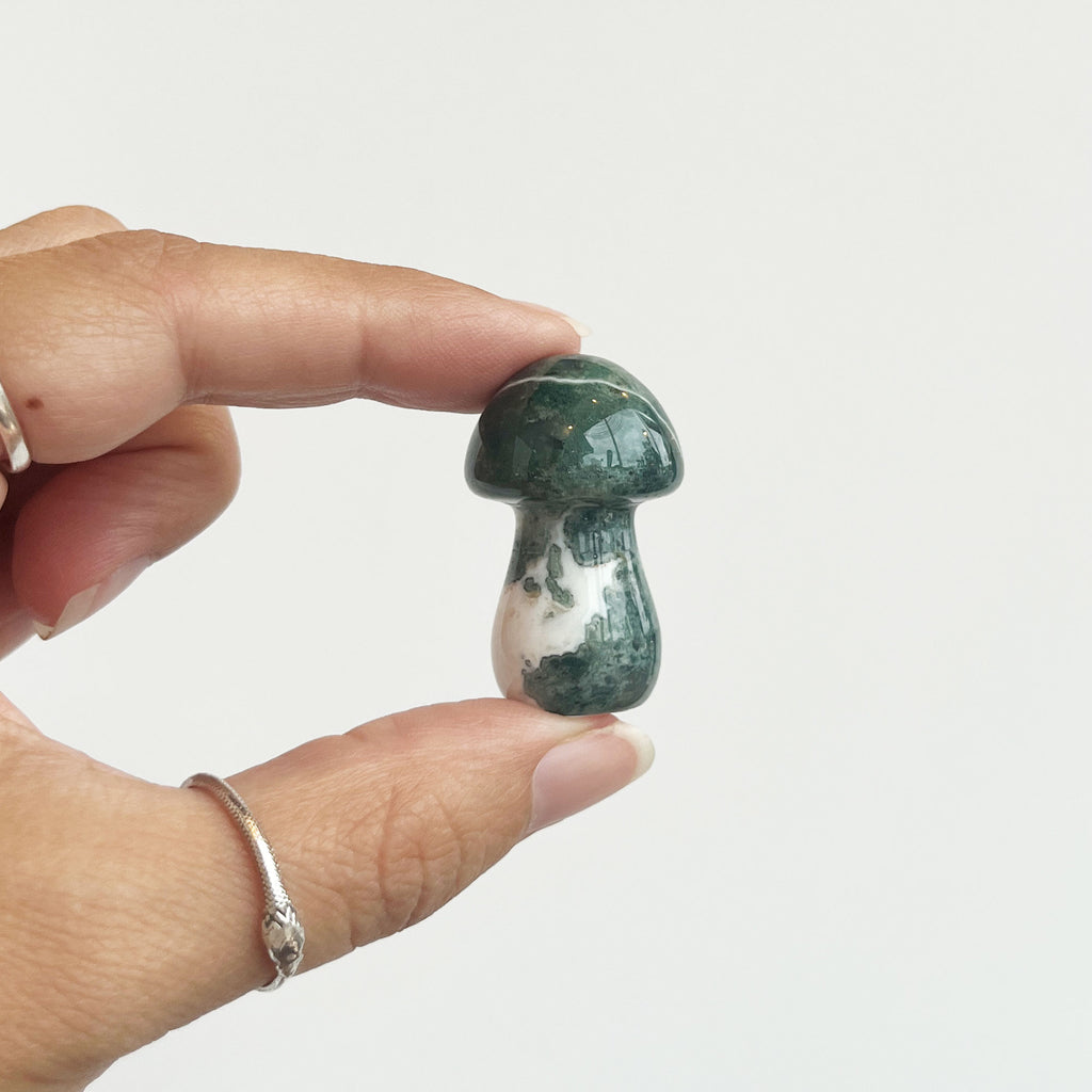 Moss Agate Mushroom