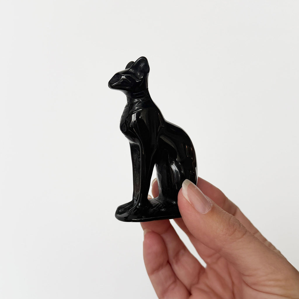 Obsidian Black Cat