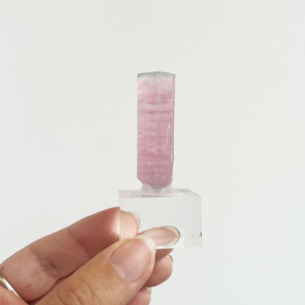 Pink Tourmaline Specimen