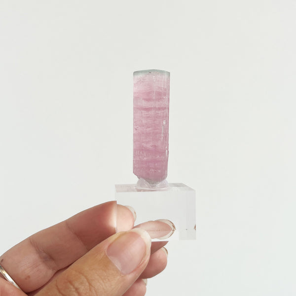 Pink Tourmaline Specimen
