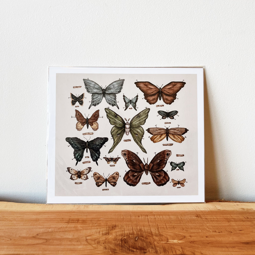 Butterflies and Moths Art Print