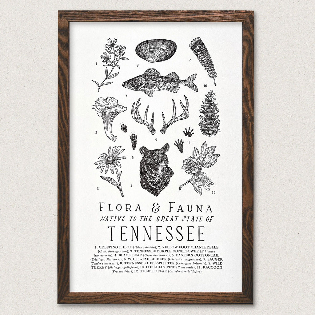 Flora + Fauna of Tennessee Art Print