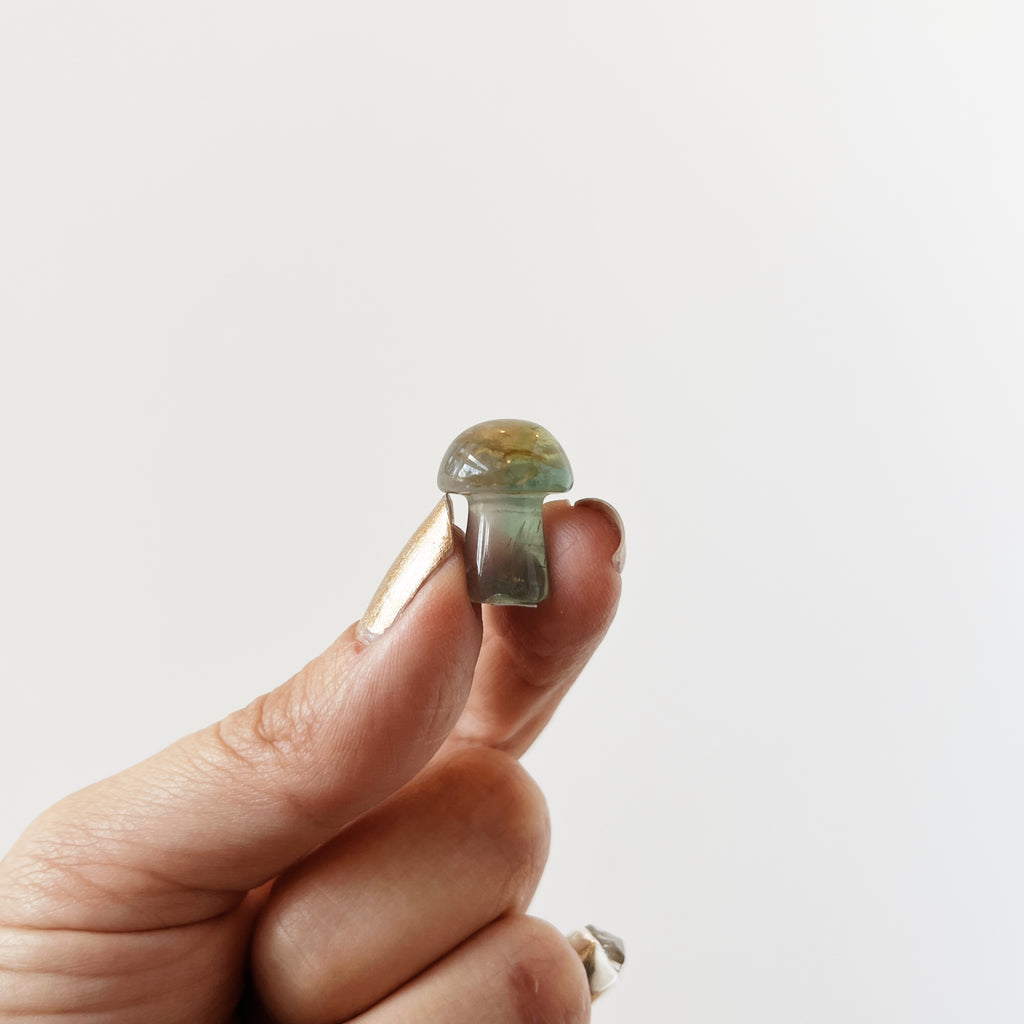 Rainbow Fluorite Mushroom