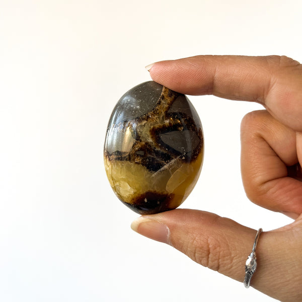 Septarian Palm Stone