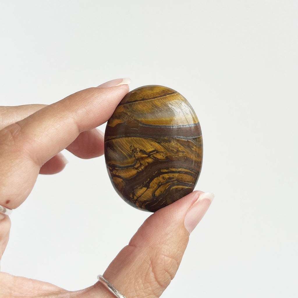 Tiger Iron Palm Stone