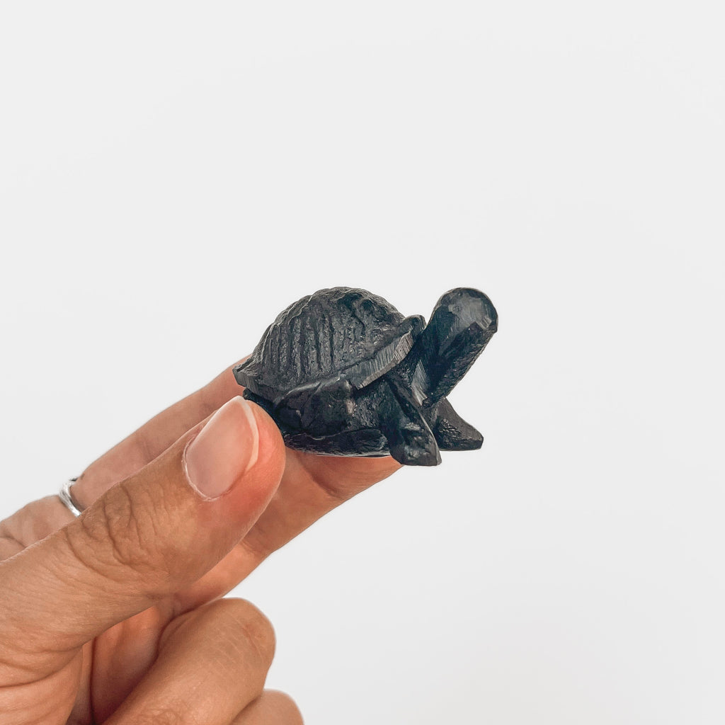 Mini Turtle in Cast Iron