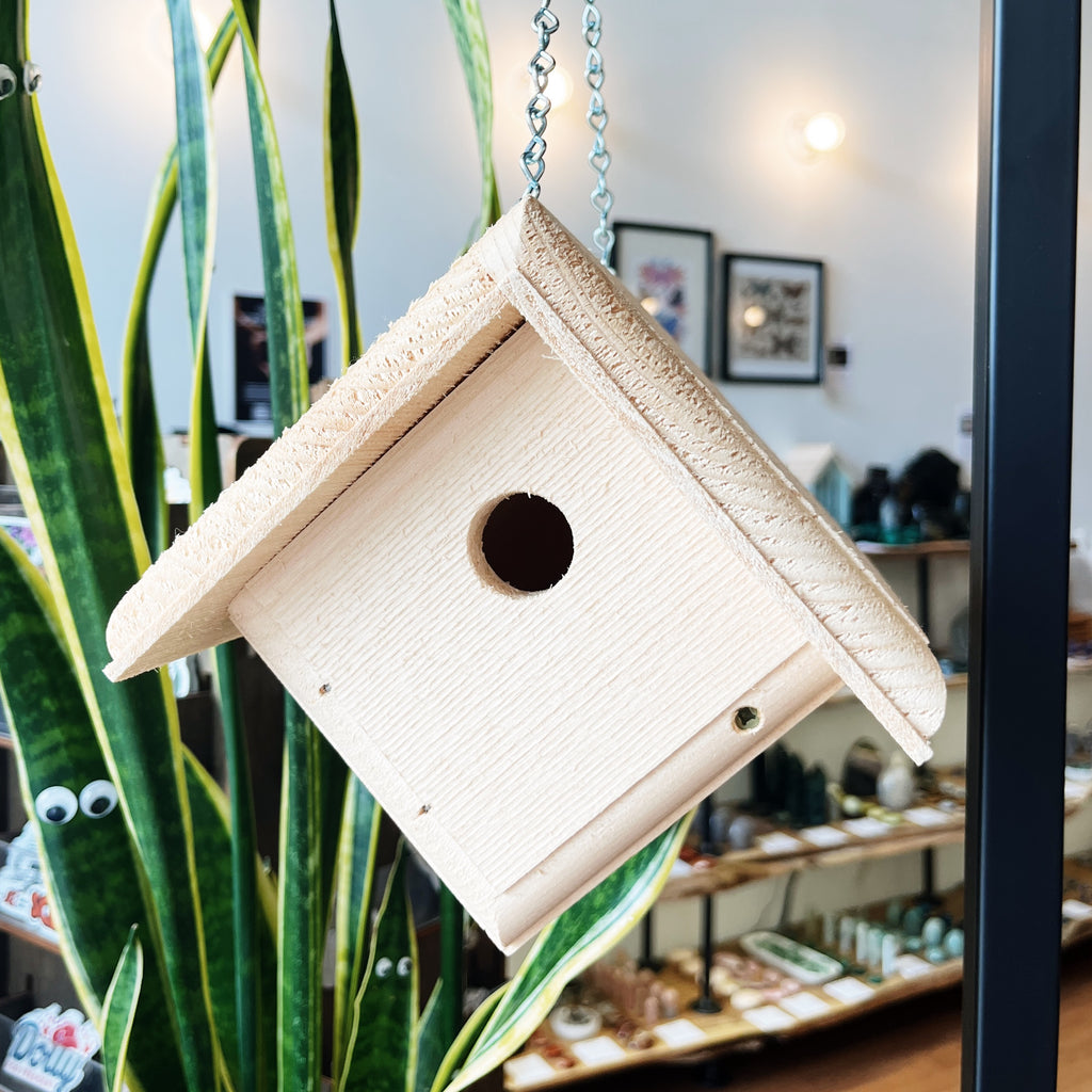Hanging Wren Bird House