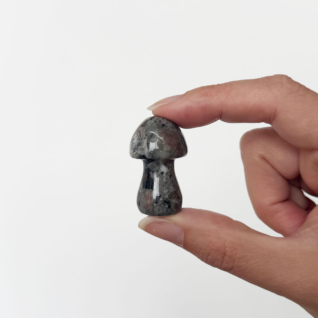 Yooperlite Mushroom