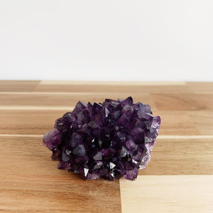 Grape Jelly Amethyst rosette sitting on a wood countertop