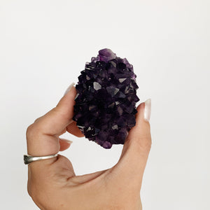 Grape Jelly Amethyst rosette 