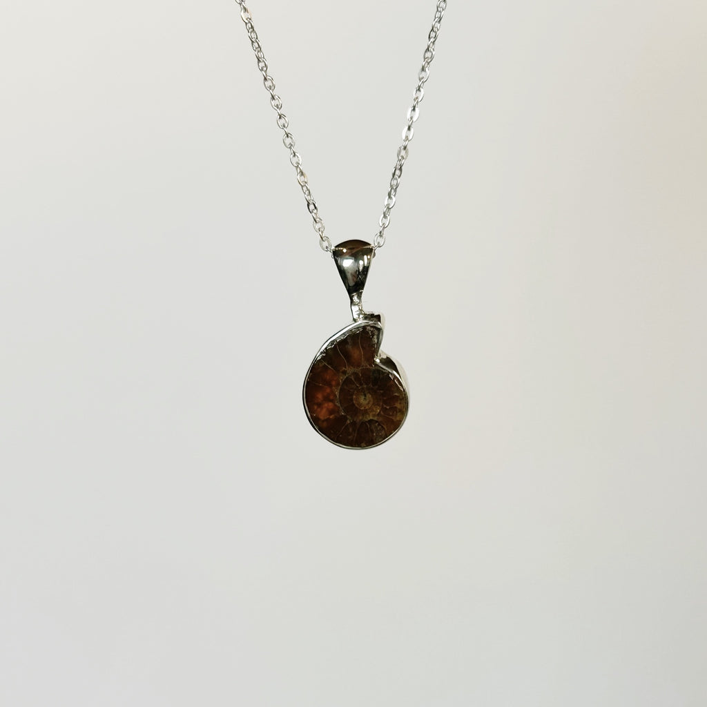 Ammonite fossil necklace