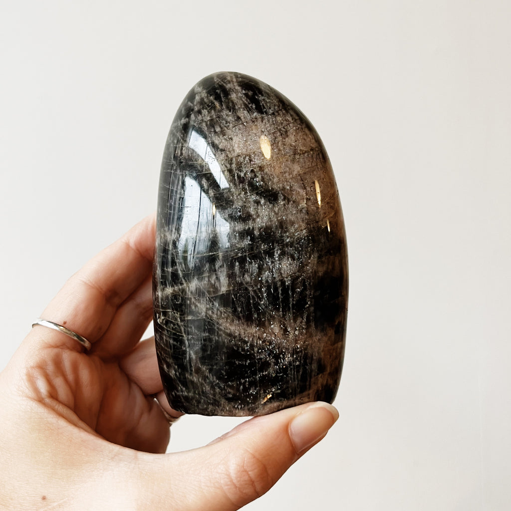 Best Freeform Rocks Black Moonstone Freeform - Rock Shop – Almanac Supply Co.