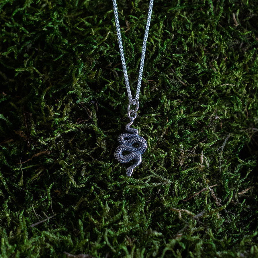 Silver snake charm