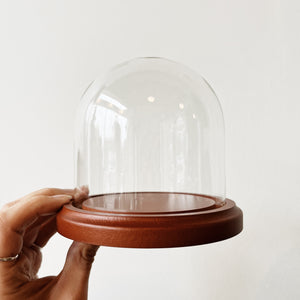 Empty glass cloche with walnut base