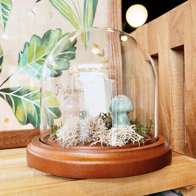 Crystal Terrarium Bar - April 24, 2026