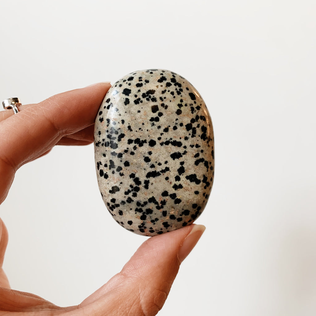 Dalmatian Jasper palm stone