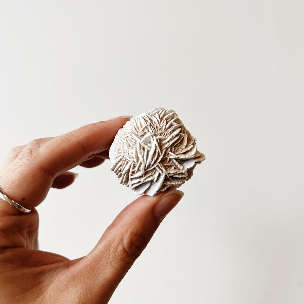 Desert Rose