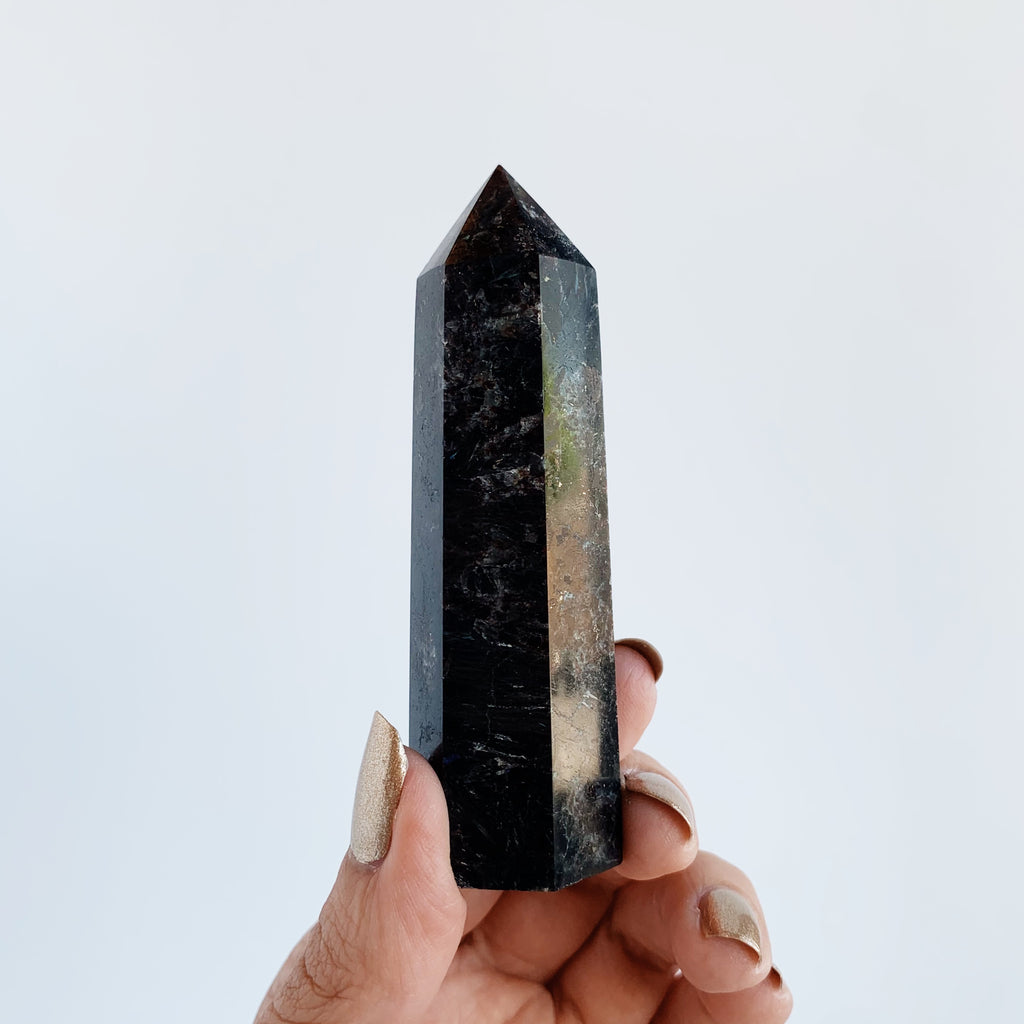 Hypersthene palm stone