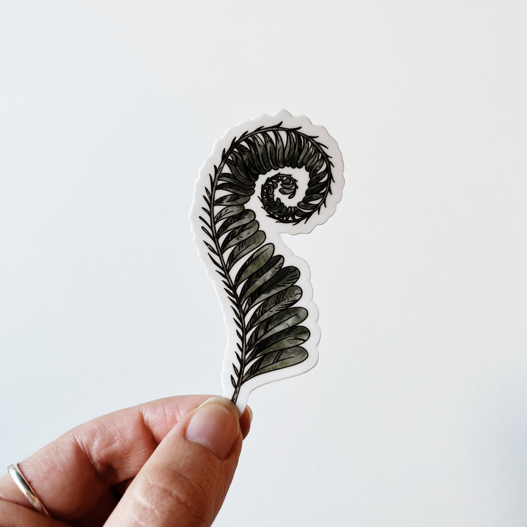 Curled Fern Sticker