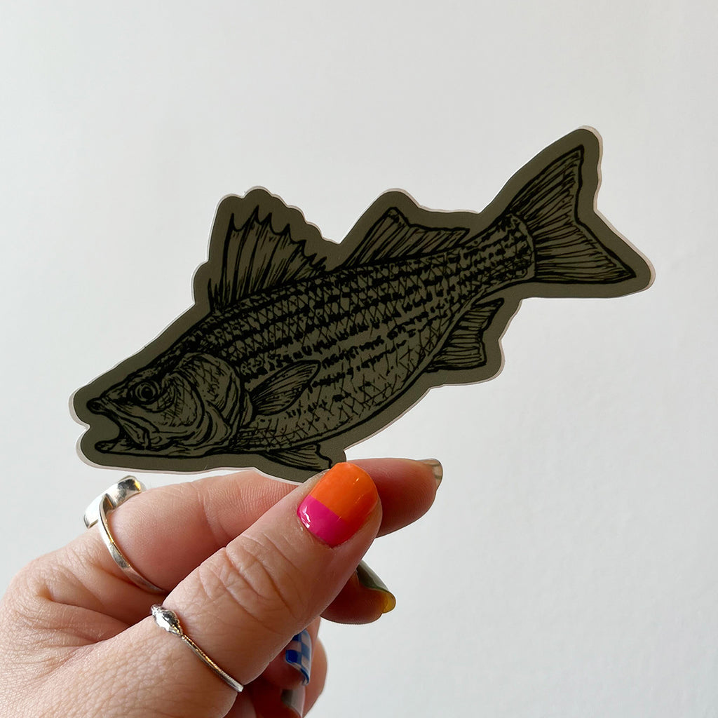 Striped Bass Sticker - Vinyl Stickers - Nature Store – Almanac Supply Co.