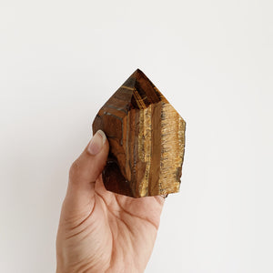 Rough Tiger Eye Tower with polished point