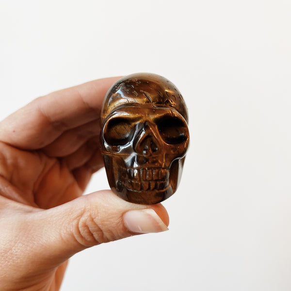 Tiger Eye Skull - Crystals – Almanac Supply Co.