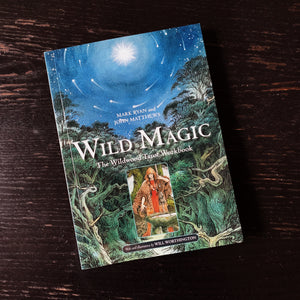 Wild Magic Workbook