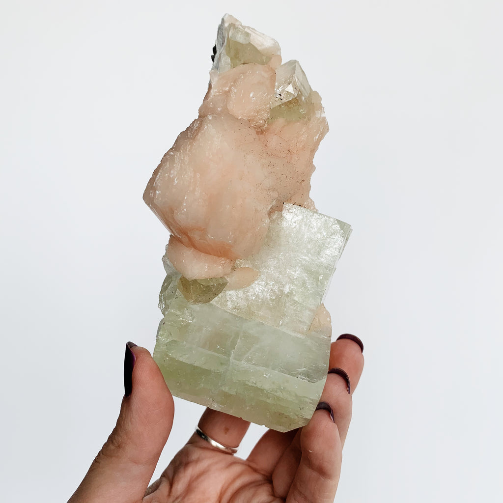Hand holding Zeolite Specimen with light pink coloring
