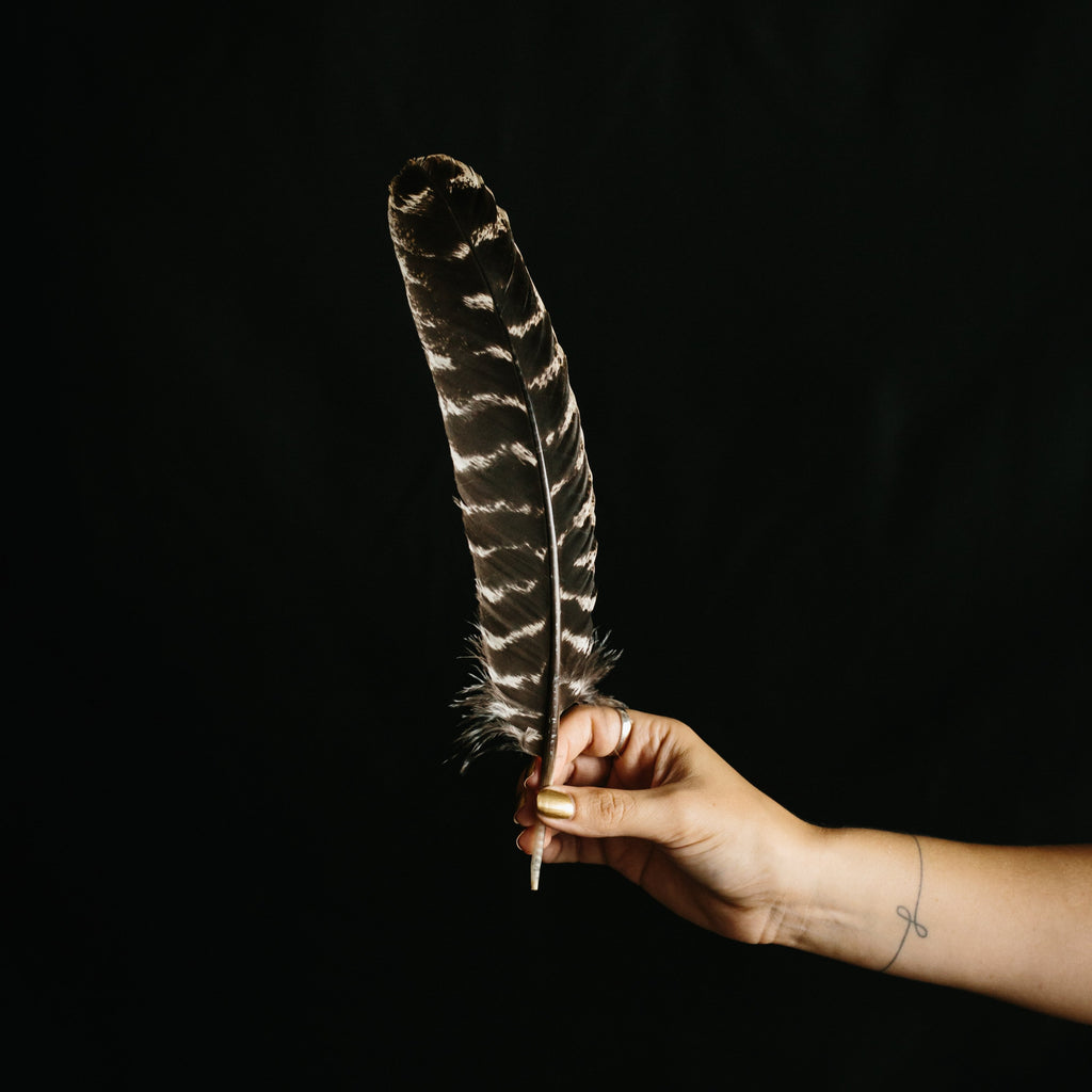 Turkey Feather